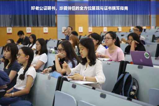 好老公证明书，珍藏伴侣的全方位展现与证书撰写指南