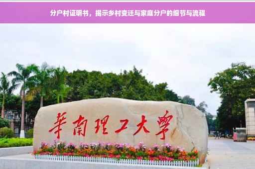 分户村证明书，揭示乡村变迁与家庭分户的细节与流程