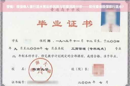 警惕！担保他人银行流水背后的风险与犯罪风险分析——如何查询担保银行流水？