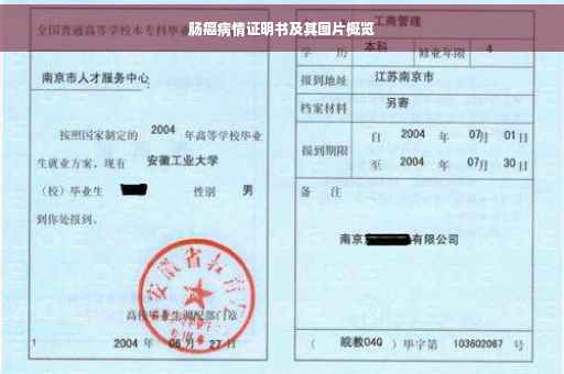肠癌病情证明书及其图片概览
