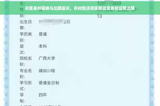 农民身份困境与出路探究，农村经济现实挑战及身份证明之路
