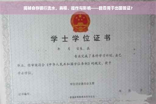 揭秘自存银行流水，真相、操作与影响——能否用于出国签证？