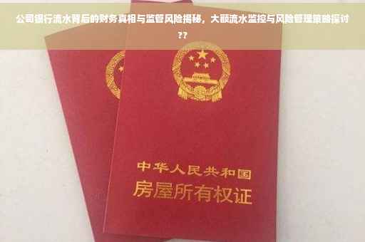 公司银行流水背后的财务真相与监管风险揭秘，大额流水监控与风险管理策略探讨??