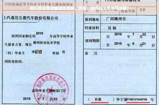银行流水账单编辑全攻略，步骤、技巧与注意事项详解?