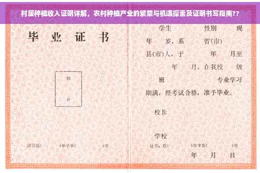 村居种植收入证明详解，农村种植产业的繁荣与机遇探索及证明书写指南??