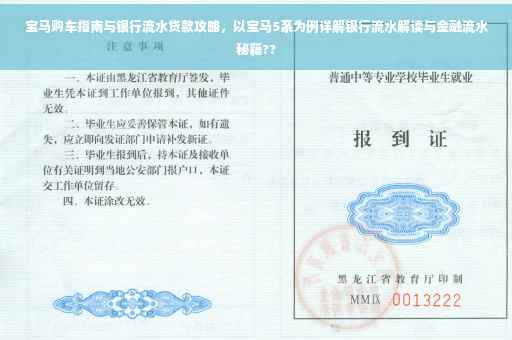 宝马购车指南与银行流水贷款攻略，以宝马5系为例详解银行流水解读与金融流水秘籍??