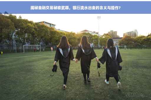 揭秘金融交易秘密武器，银行流水出金的含义与操作?