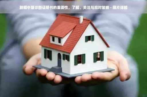 肺癌中期诊断证明书的重要性，了解、关注与应对策略 - 图片详解