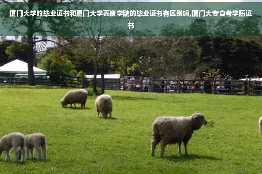 厦门大学的毕业证书和厦门大学嘉庚学院的毕业证书有区别吗,厦门大专自考学历证书