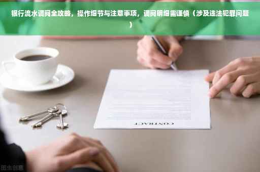 银行流水调阅全攻略，操作细节与注意事项，调阅明细需谨慎（涉及违法犯罪问题）