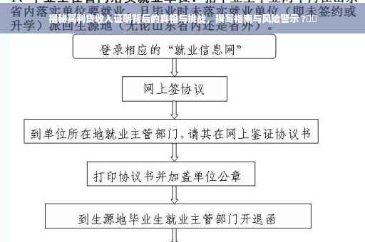 揭秘高利贷收入证明背后的真相与挑战，撰写指南与风险警示 ?⚡️