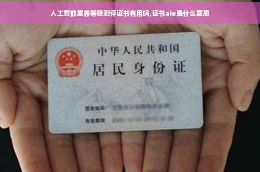 人工智能素养等级测评证书有用吗,证书aie是什么意思