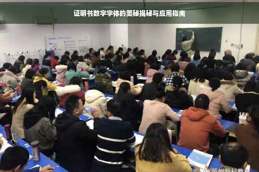 证明书数字字体的奥秘揭秘与应用指南