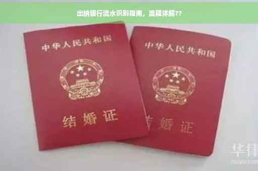 出纳银行流水识别指南，流程详解??