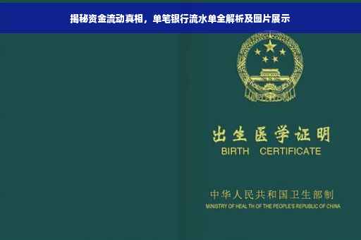揭秘资金流动真相，单笔银行流水单全解析及图片展示