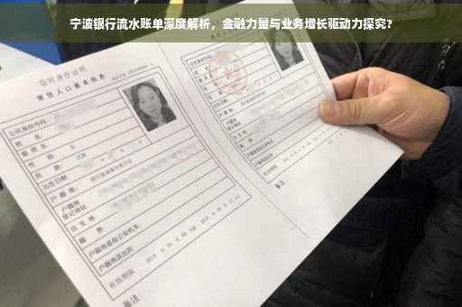 宁波银行流水账单深度解析，金融力量与业务增长驱动力探究?