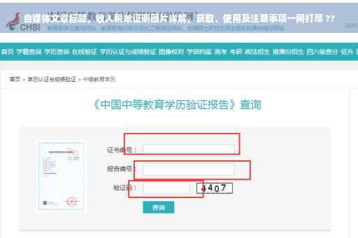 自媒体文章标题，收入税单证明图片详解，获取、使用及注意事项一网打尽 ??