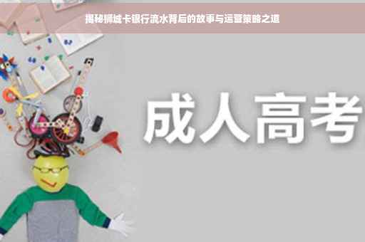 揭秘狮城卡银行流水背后的故事与运营策略之道
