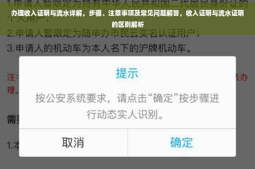 办理收入证明与流水详解，步骤、注意事项及常见问题解答，收入证明与流水证明的区别解析