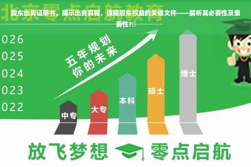 股东出资证明书，揭示出资真相，保障股东权益的关键文件——解析其必要性及重要性?✨