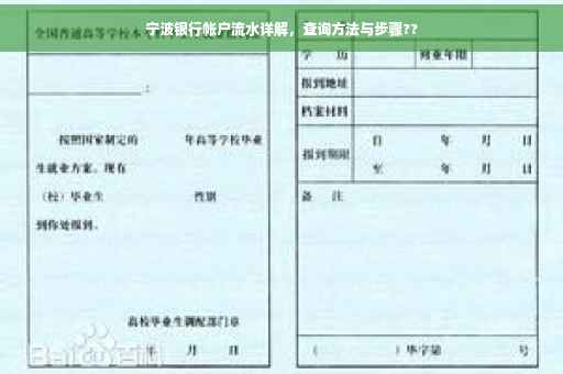 宁波银行帐户流水详解，查询方法与步骤??