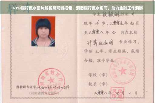 GYB银行流水图片解析及观察报告，洞悉银行流水细节，助力金融工作洞察
