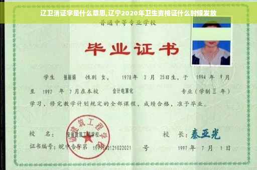 辽卫消证字是什么意思,辽宁2020年卫生资格证什么时候发放