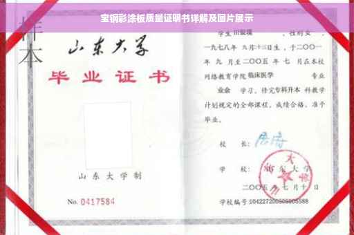宝钢彩涂板质量证明书详解及图片展示