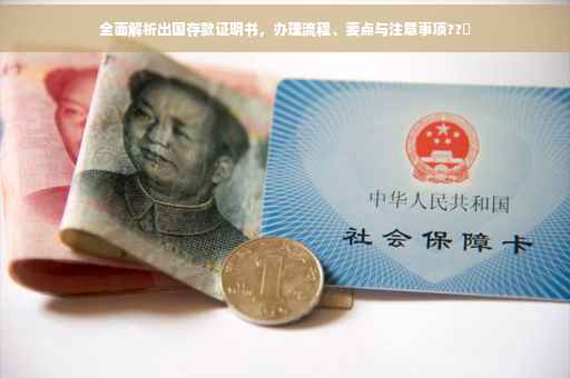 全面解析出国存款证明书，办理流程、要点与注意事项??✨