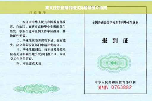 英文任职证明书格式详解及图片指南