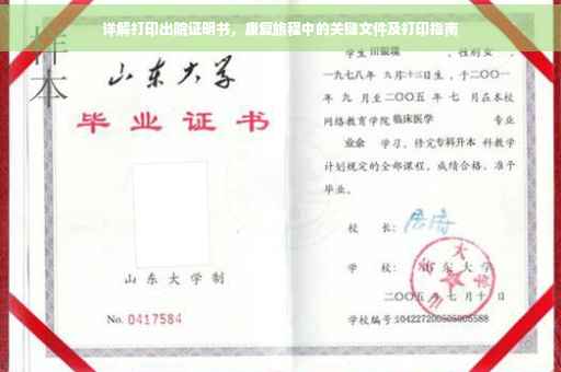 详解打印出院证明书，康复旅程中的关键文件及打印指南