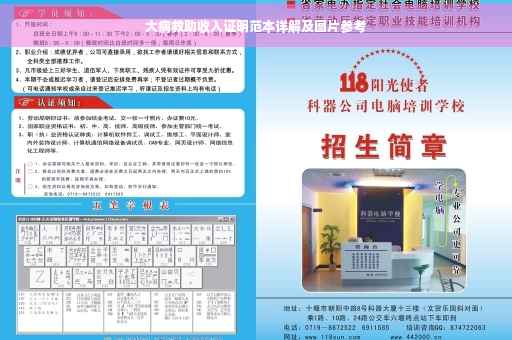 大病救助收入证明范本详解及图片参考