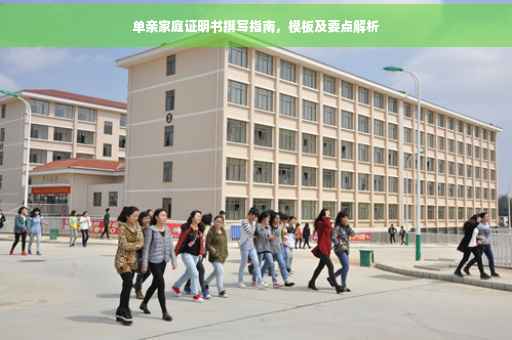 单亲家庭证明书撰写指南，模板及要点解析