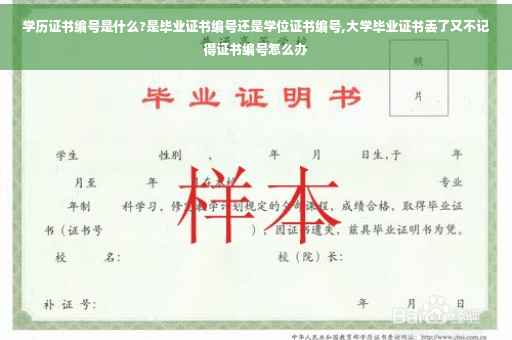 学历证书编号是什么?是毕业证书编号还是学位证书编号,大学毕业证书丢了又不记得证书编号怎么办
