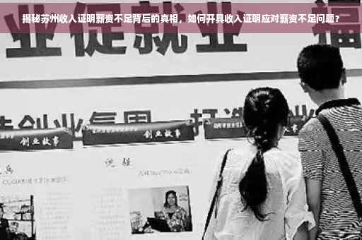 揭秘苏州收入证明薪资不足背后的真相，如何开具收入证明应对薪资不足问题？