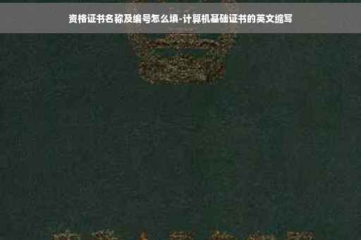 资格证书名称及编号怎么填-计算机基础证书的英文缩写