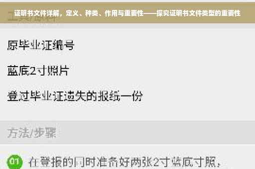 证明书文件详解，定义、种类、作用与重要性——探究证明书文件类型的重要性