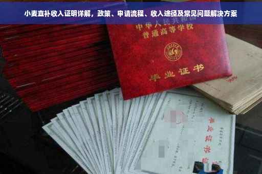 小麦直补收入证明详解，政策、申请流程、收入途径及常见问题解决方案