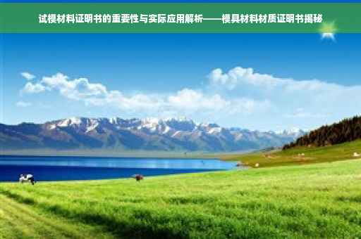 试模材料证明书的重要性与实际应用解析——模具材料材质证明书揭秘