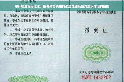 审计核查银行流水，揭开财务真相的必经之路及应对流水作假的策略