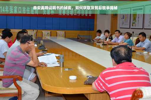 泰安离婚证明书的秘密，如何获取及背后故事揭秘