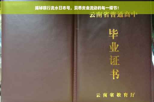 揭秘银行流水日志号，洞悉资金流动的每一细节！