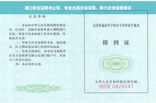 海口资信证明书公司，专业出具资信证明，助力企业信誉建设