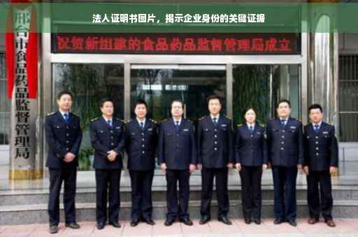 法人证明书图片，揭示企业身份的关键证据