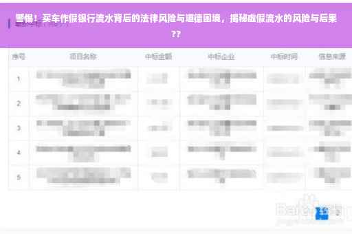 警惕！买车作假银行流水背后的法律风险与道德困境，揭秘虚假流水的风险与后果??