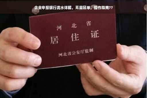 企业申报银行流水详解，无需回单，操作指南??
