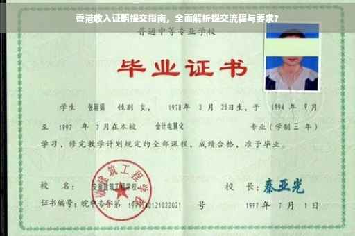 香港收入证明提交指南，全面解析提交流程与要求?