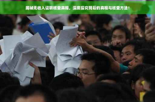 揭秘无收入证明核查真相，深度探究背后的真相与核查方法！