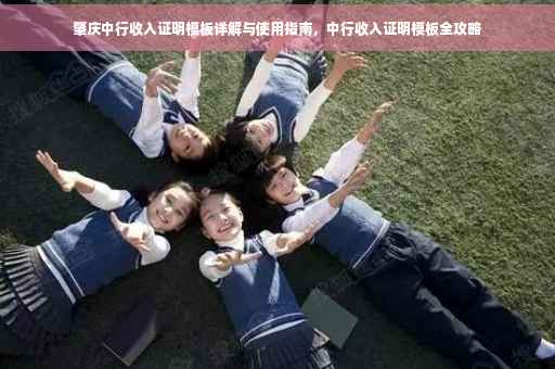 肇庆中行收入证明模板详解与使用指南，中行收入证明模板全攻略
