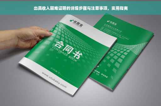 出具收入困难证明的详细步骤与注意事项，实用指南